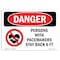 Signmission OSHA Danger Sign, 7" Height, Rigid Plastic, Persons With Pacemakers Stay Back 6 Ft, Landscape OS-DS-P-710-L-1521 - alternate 1